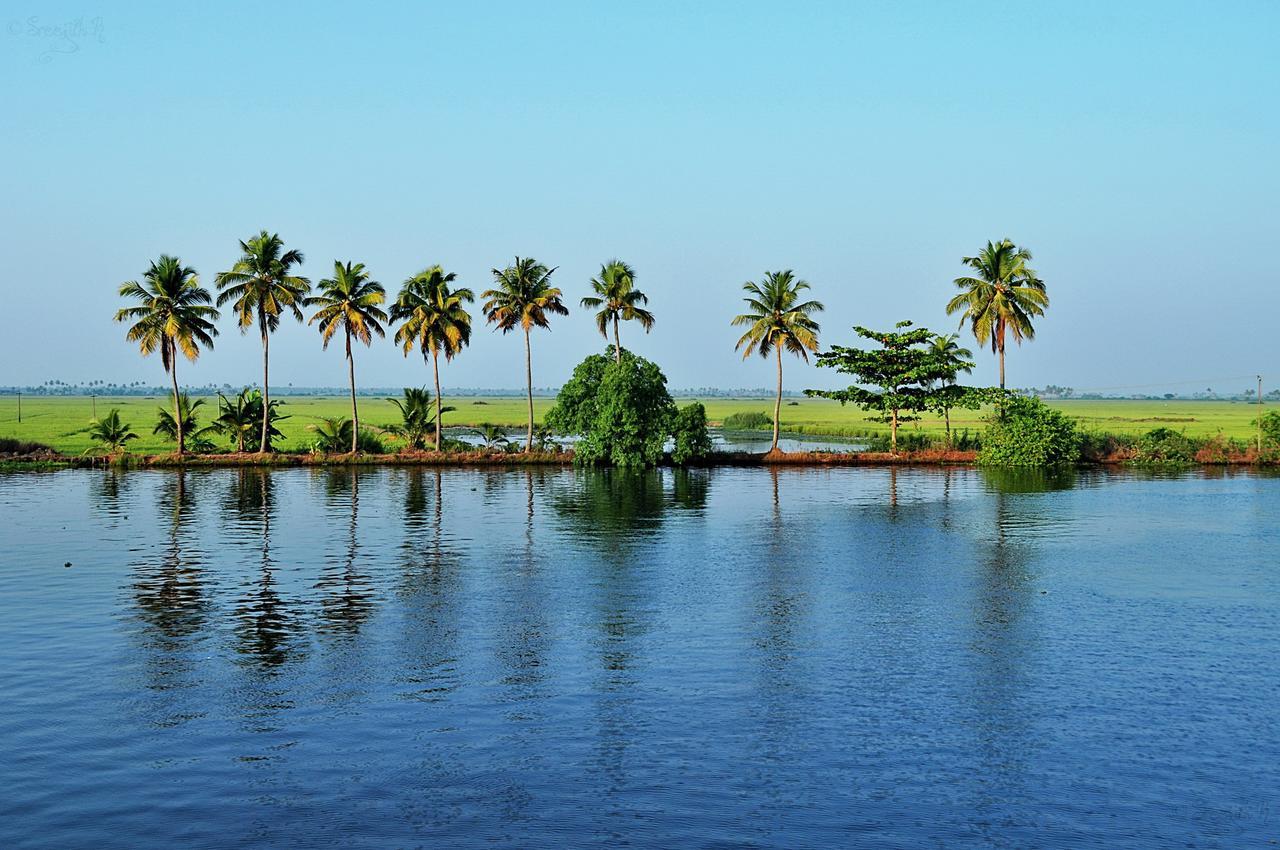 Ferienwohnung Marari Peterland Alappuzha Zimmer foto